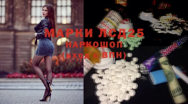 прущие грибы Волосово